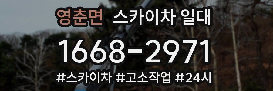 영춘면 스카이차 일대