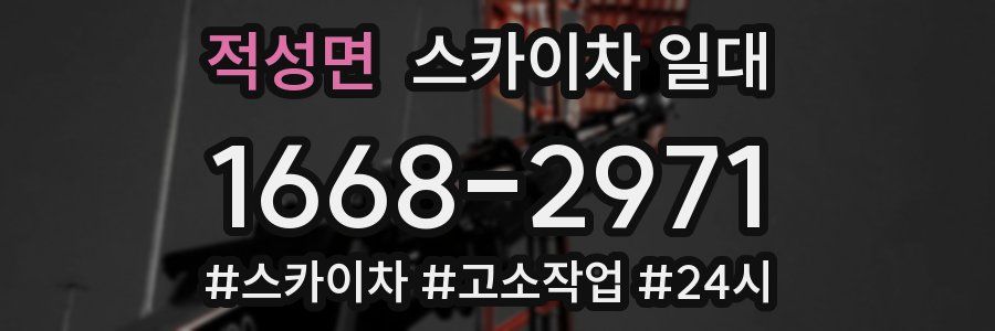 적성면 스카이차 일대