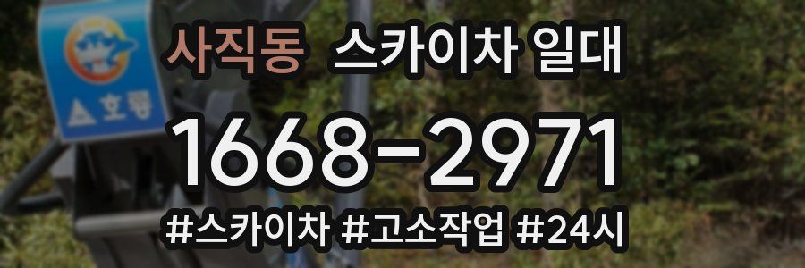 사직동 스카이차 일대