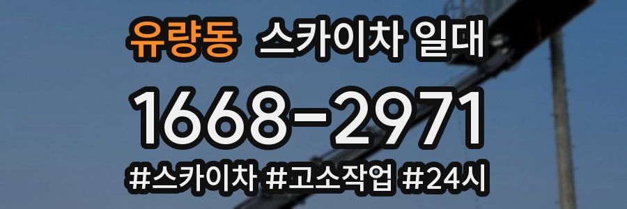 유량동 스카이차 일대