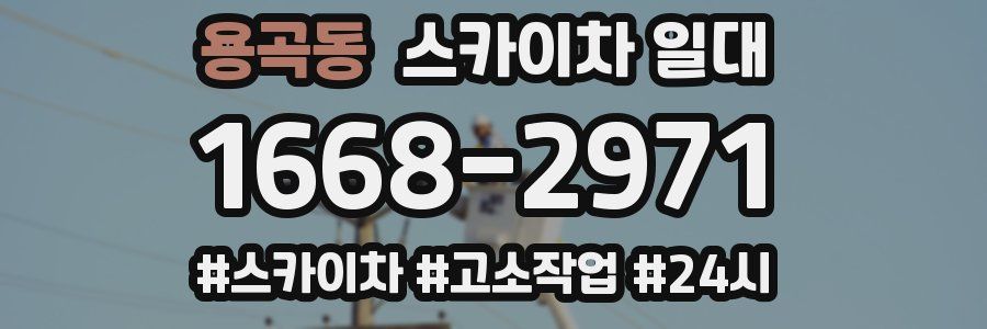 용곡동 스카이차 일대
