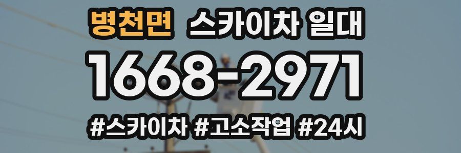 병천면 스카이차 일대