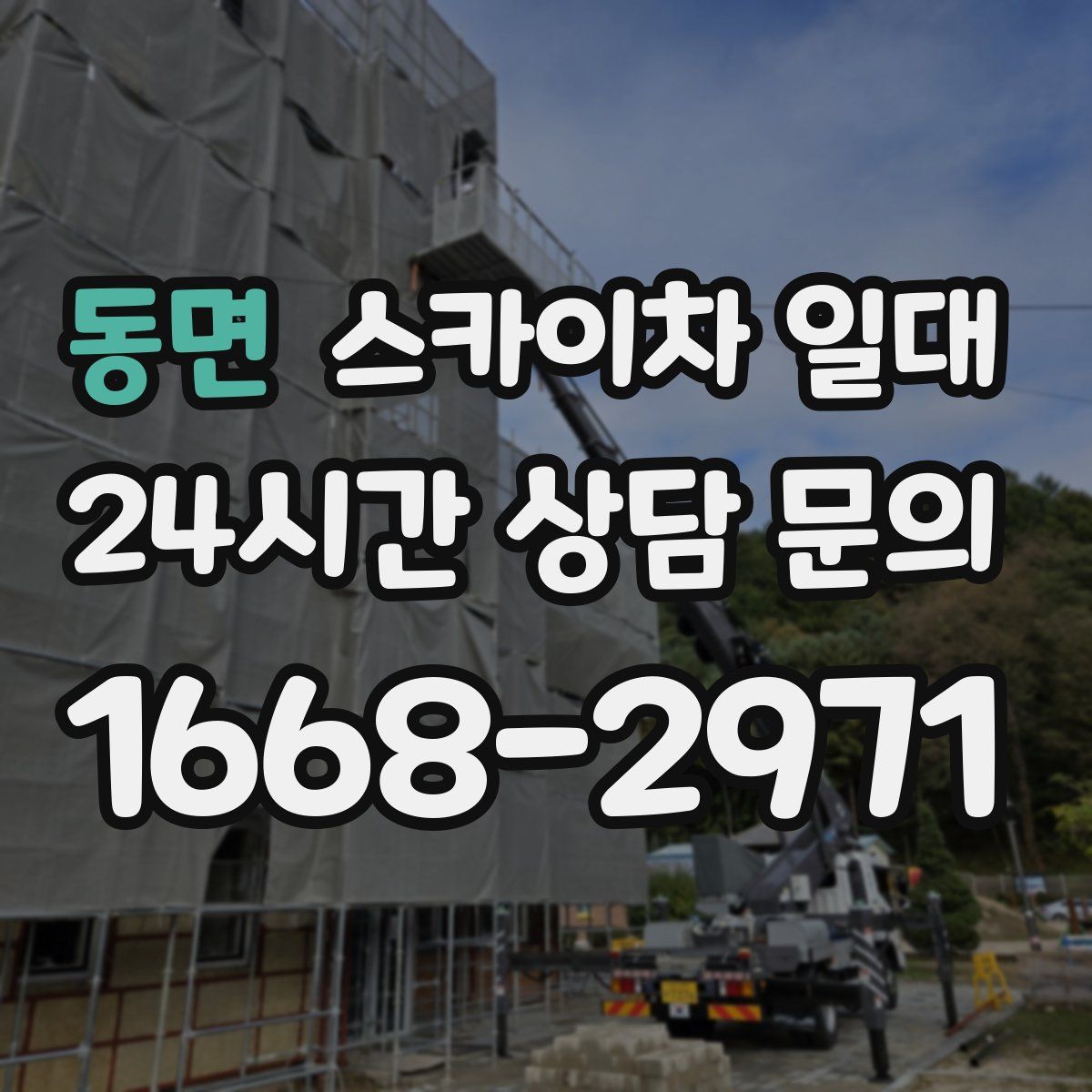 동면 스카이차 일대