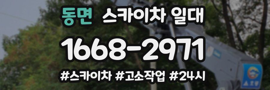 동면 스카이차 일대