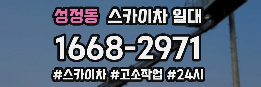성정동 스카이차 일대