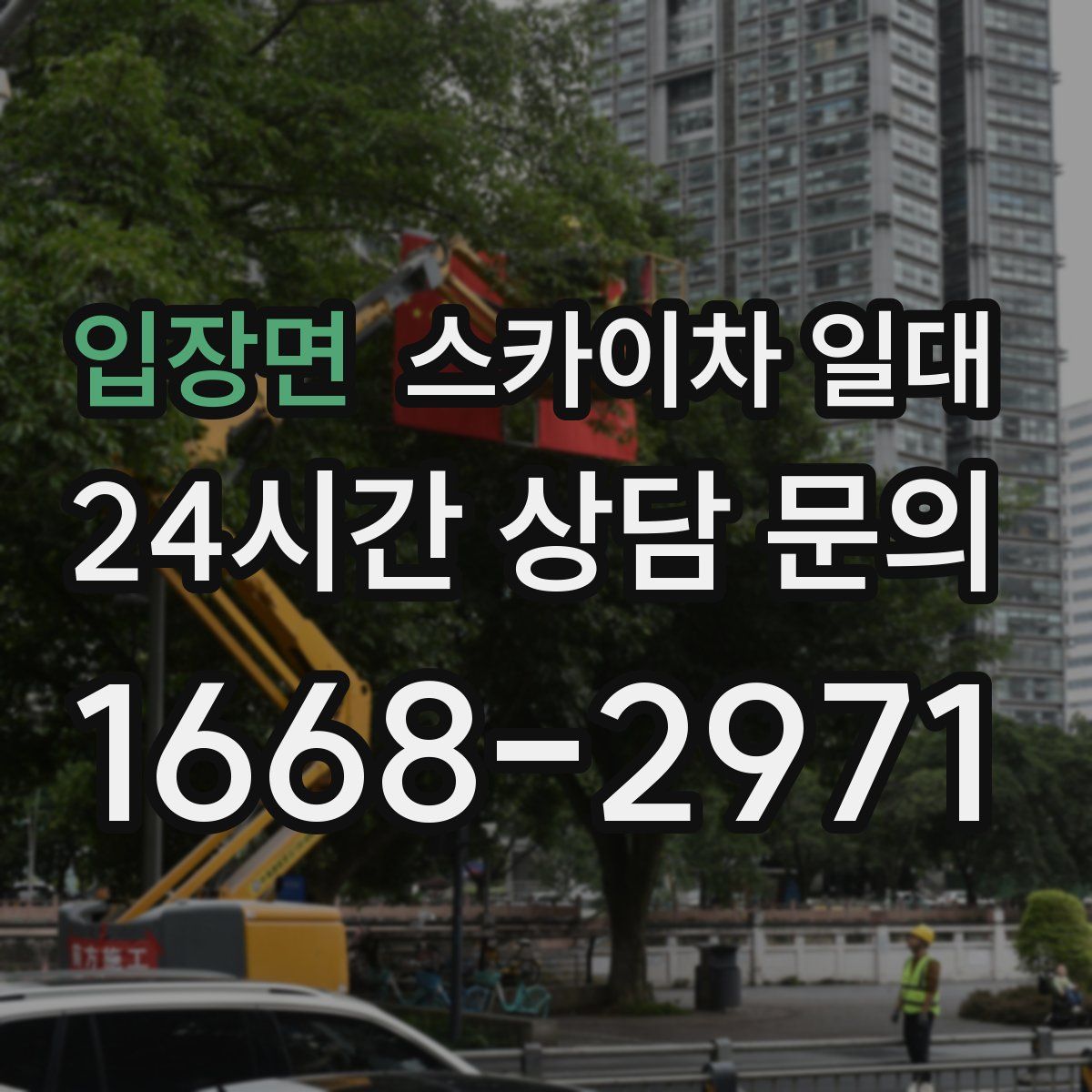 입장면 스카이차 일대