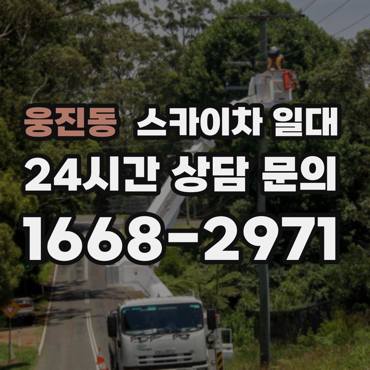 웅진동 스카이차 일대