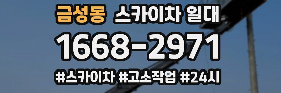 금성동 스카이차 일대