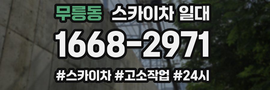 무릉동 스카이차 일대