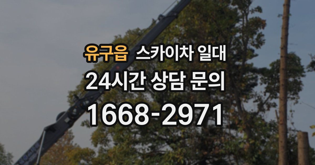유구읍 스카이차 일대