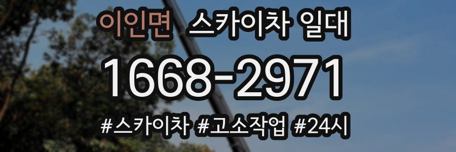 이인면 스카이차 일대
