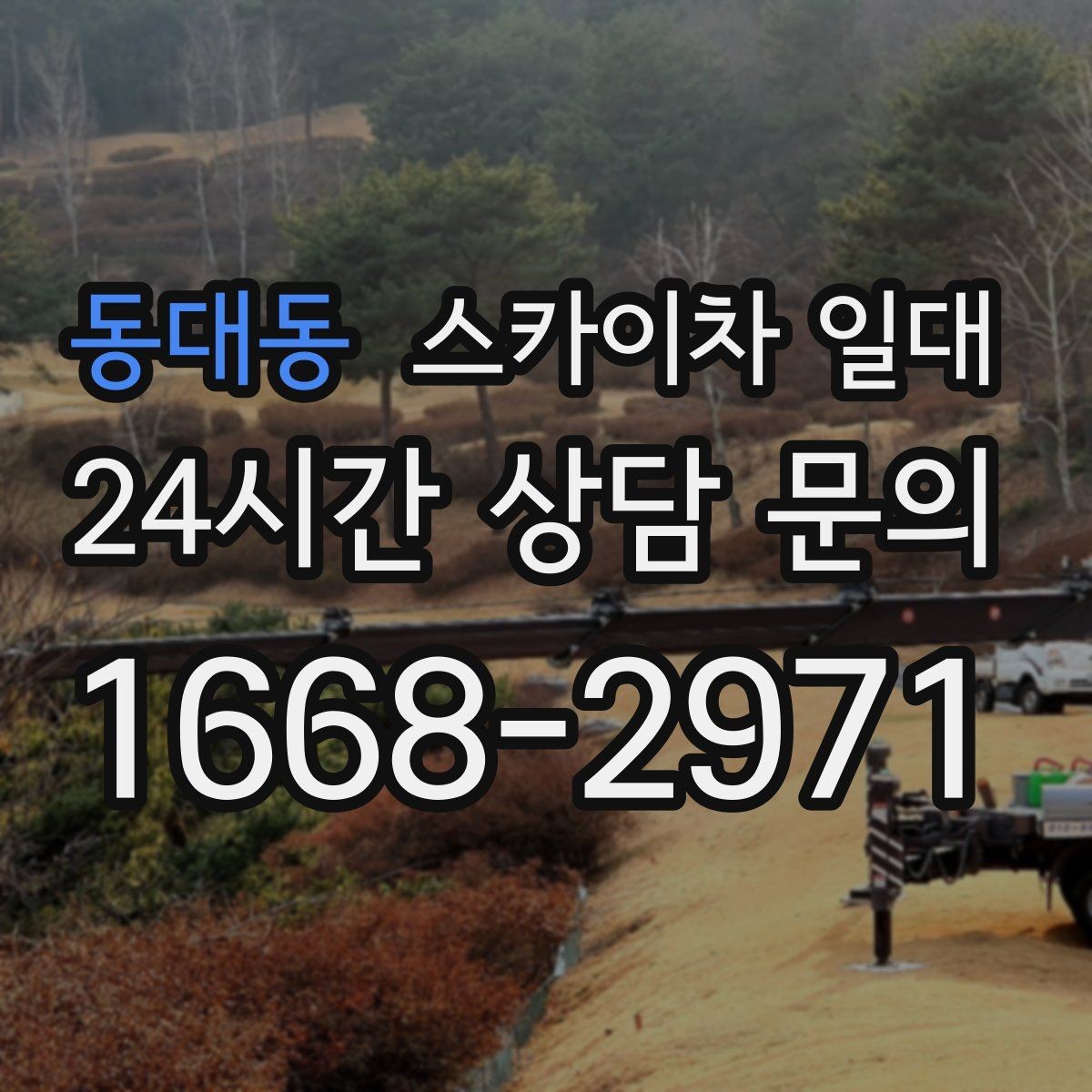 동대동 스카이차 일대 현장 사진으로 미리 확인하는 요소