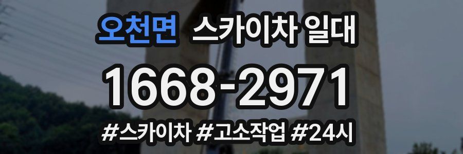 오천면 스카이차 일대