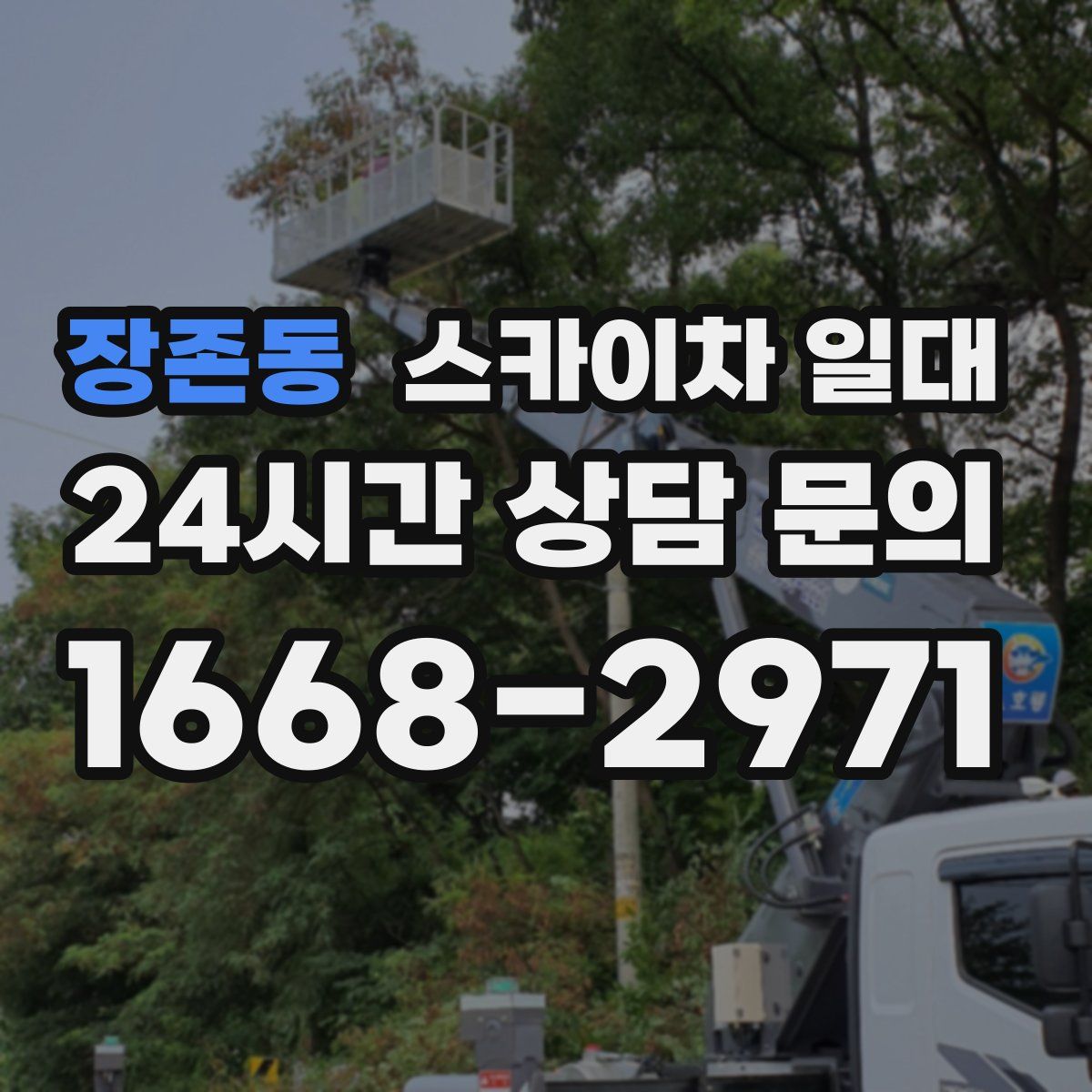 장존동 스카이차 일대