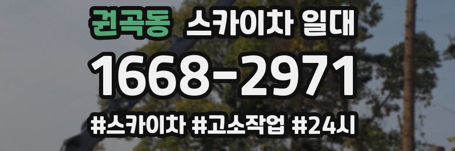 권곡동 스카이차 일대