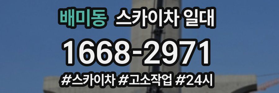 배미동 스카이차 일대