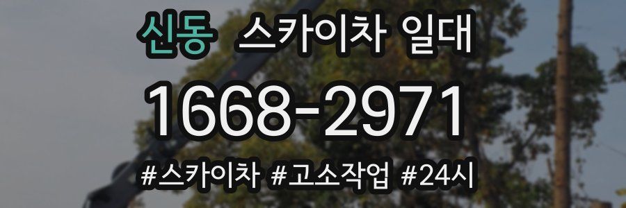 신동 스카이차 일대
