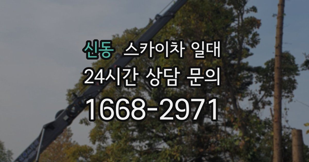 신동 스카이차 일대