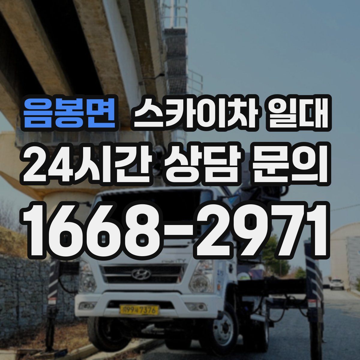 음봉면 스카이차 일대