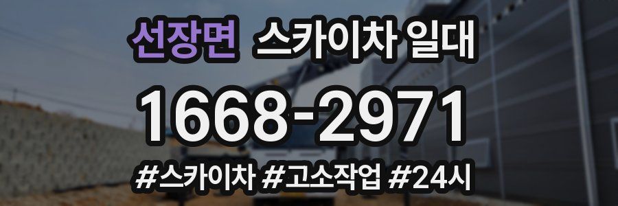 선장면 스카이차 일대