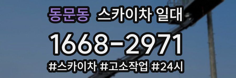 동문동 스카이차 일대