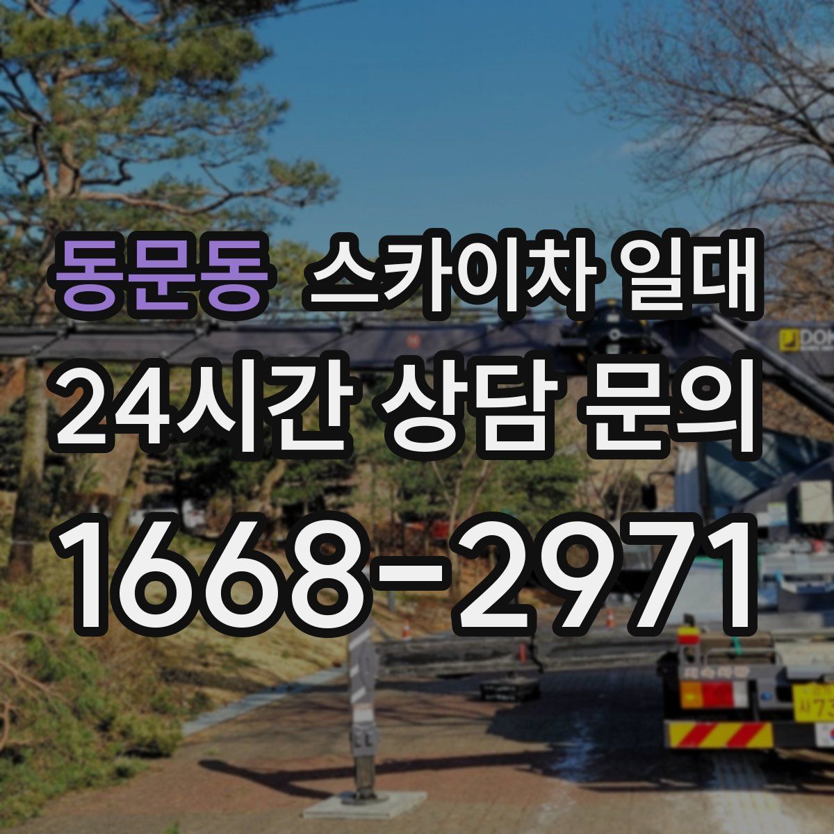 동문동 스카이차 일대