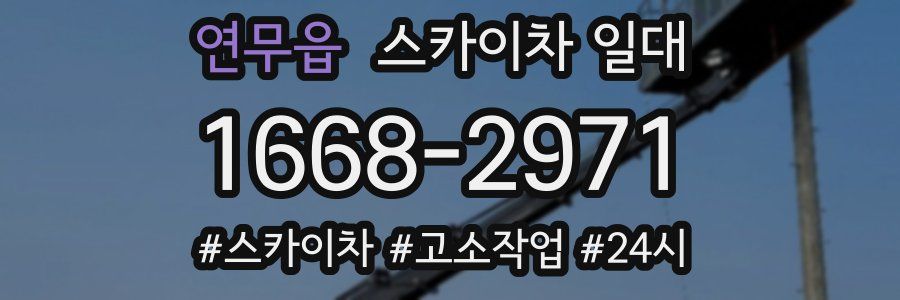 연무읍 스카이차 일대
