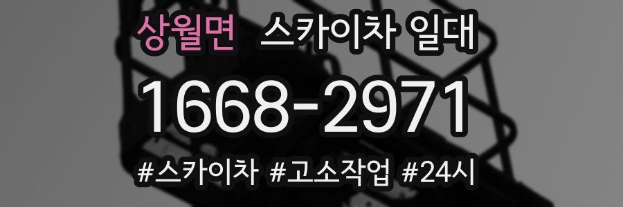 상월면 스카이차 일대