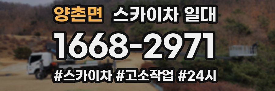 양촌면 스카이차 일대