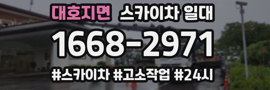 대호지면 스카이차 일대