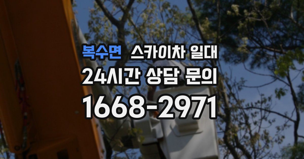 복수면 스카이차 일대