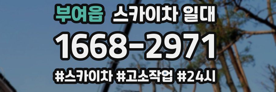 부여읍 스카이차 일대