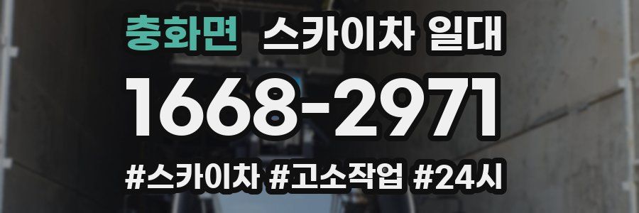 충화면 스카이차 일대