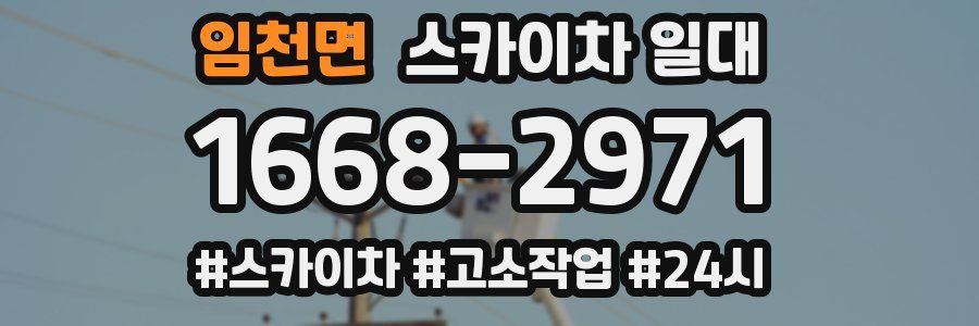 임천면 스카이차 일대