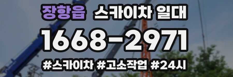 장항읍 스카이차 일대
