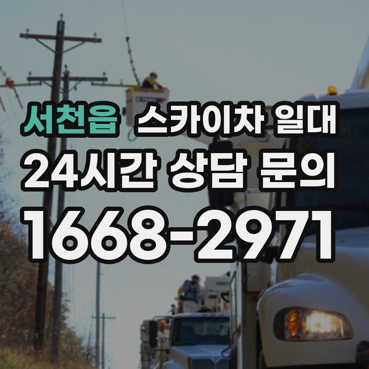 서천읍 스카이차 일대 장비 종류별 특징 정리