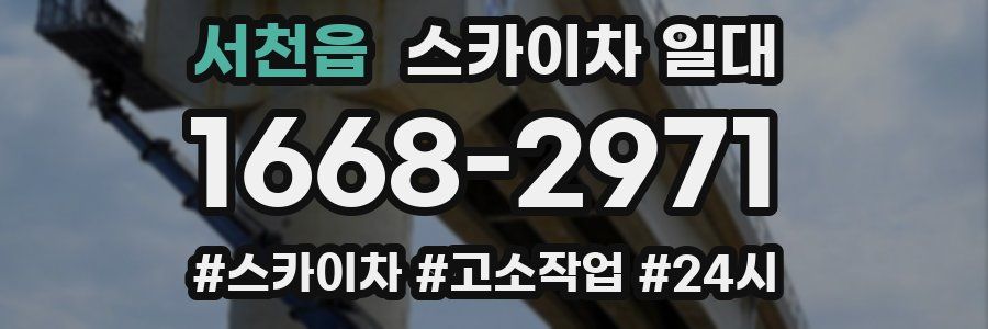 서천읍 스카이차 일대