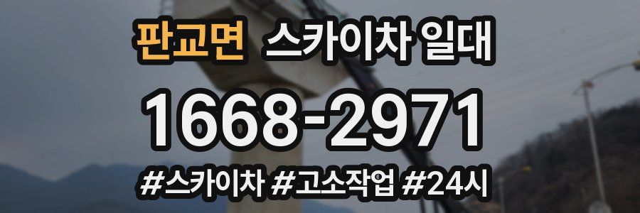 판교면 스카이차 일대