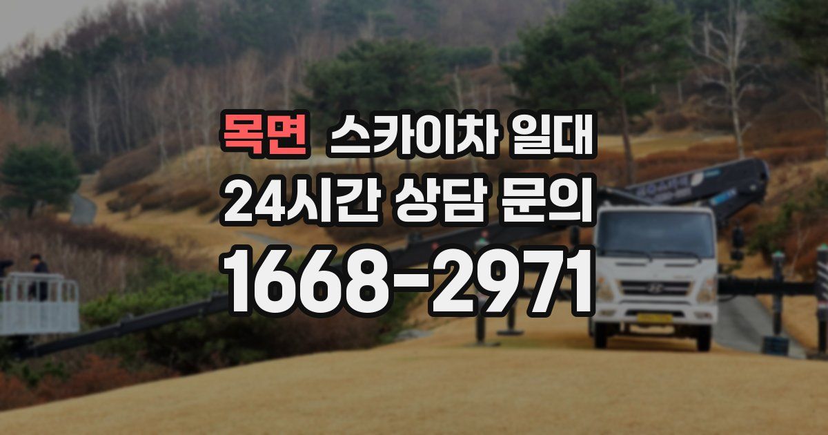 목면 스카이차 일대