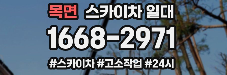 목면 스카이차 일대