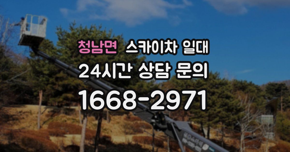 청남면 스카이차 일대