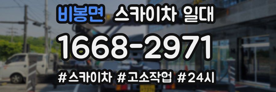 비봉면 스카이차 일대