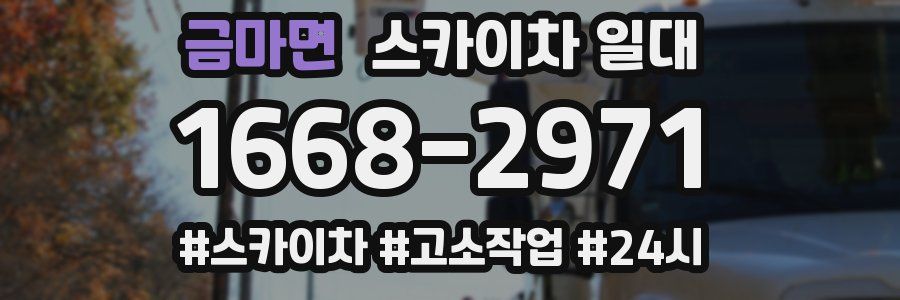 금마면 스카이차 일대