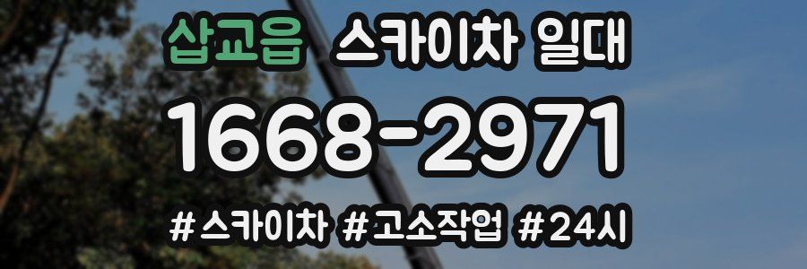 삽교읍 스카이차 일대