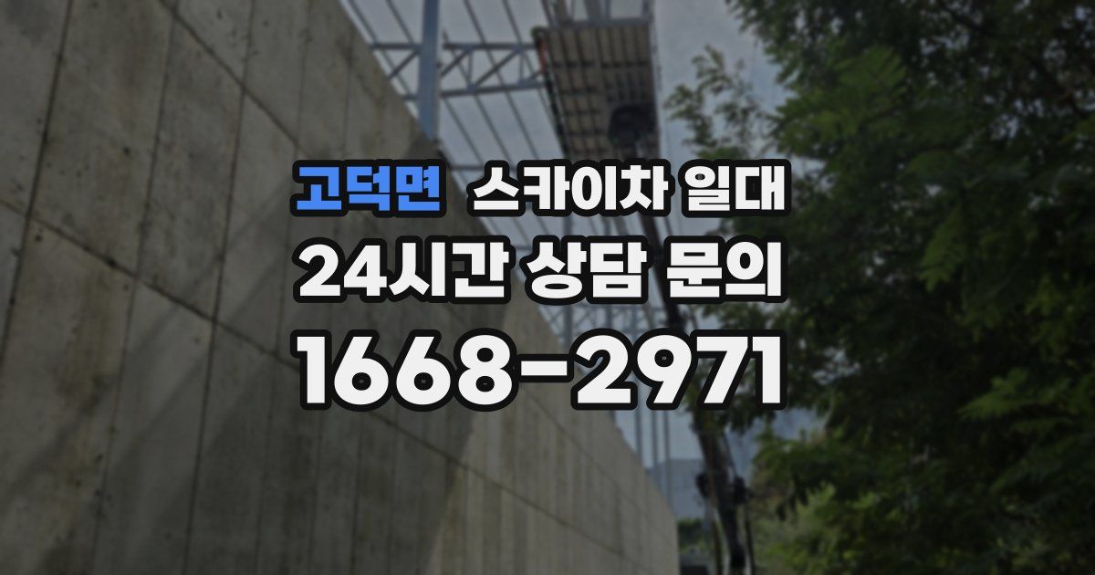 고덕면 스카이차 일대