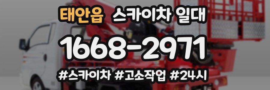 태안읍 스카이차 일대