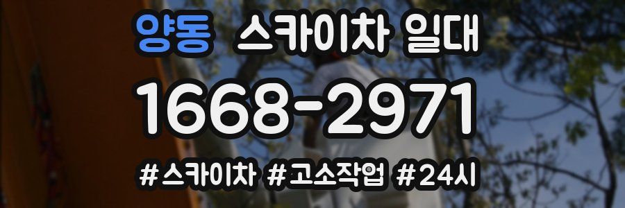 양동 스카이차 일대