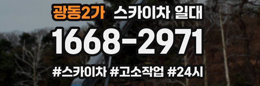 광동2가 스카이차 일대