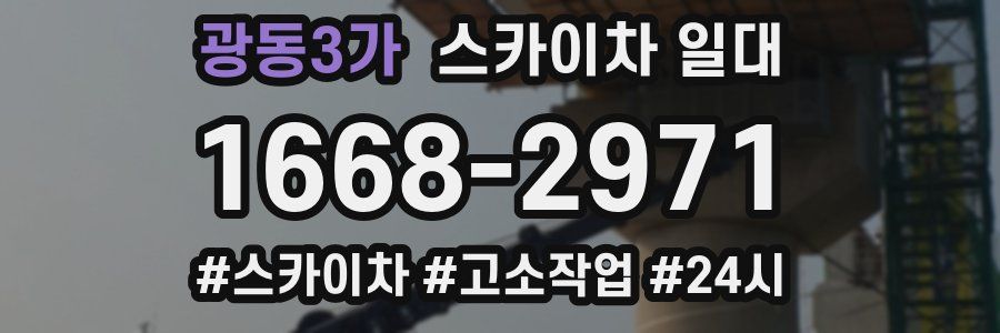 광동3가 스카이차 일대