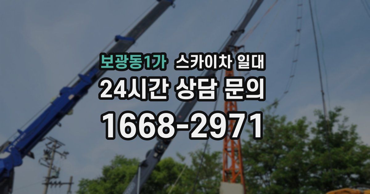 보광동1가 스카이차 일대